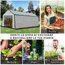 Serra da Giardino con 8 Finestre 600x300x240 cm in Acciaio Bianca