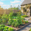 Set 2 Supporti per Piante Rampicanti Alti 170 cm in Acciaio Antiruggine Nero      