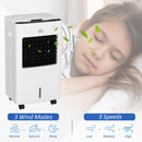 Raffrescatore Ventilatore con Ghiaccio 75W 9 Funzioni Bianco