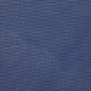 Lettino Prendisole Pieghevole da Giardino 60x170x76 cm in Alluminio e Textilene Blu