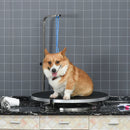 Tavolo da Toelettatura e Tosatura Girevole per Cani e Gatti Ø65x10 cm Carico 40Kg Nero