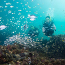 Acquascooter Elettrico Yamaha RDS280 DPV 4,5Km/h