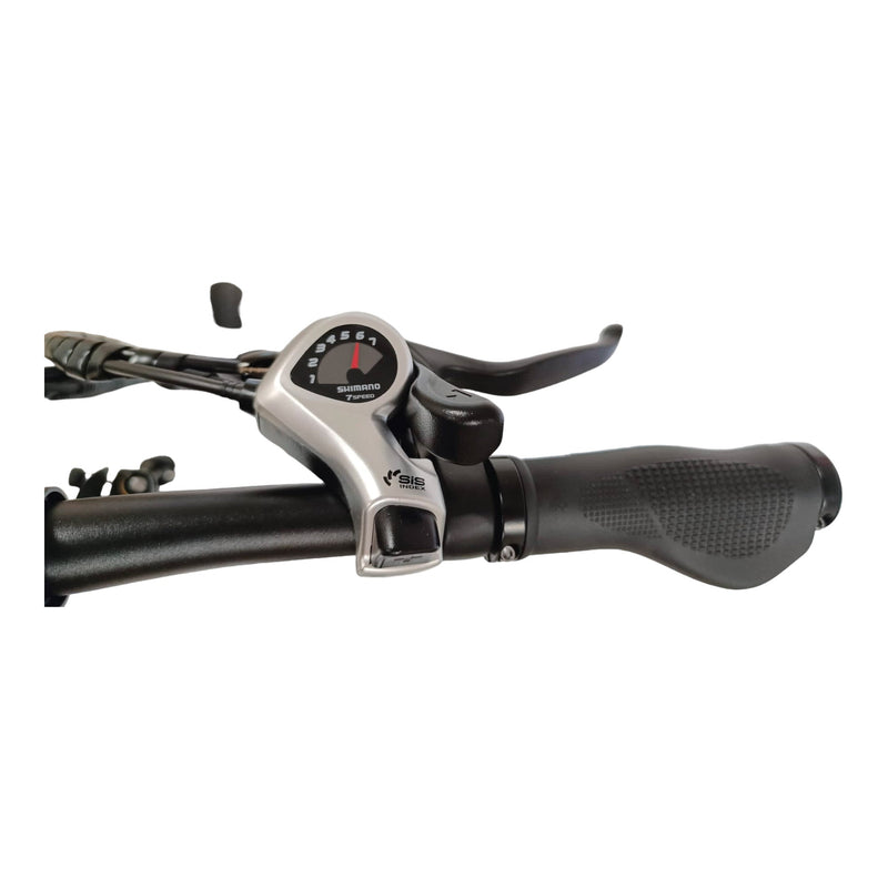 Fat-Bike Bicicletta Elettrica Pieghevole 36V a Pedalata Assistita 20"" 250W Grigio Antracite