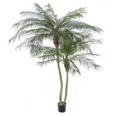 Ramo Artificiale Phoenix Palm a 2 Diramazioni con Vaso H 230 cm