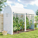 Serra a Tunnel da Giardino 300x100x200 cm per Piante e Orto con 2 Porte Avvolgibili e 4 Finestre in PE Bianco      