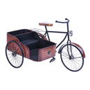 Modellino Bici Sidecar con Contenitore Larghezza 58 cm