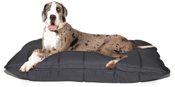 sconto Coussin rembourré pour chiens et chats 60x100 cm en grosse microfibre gris foncé