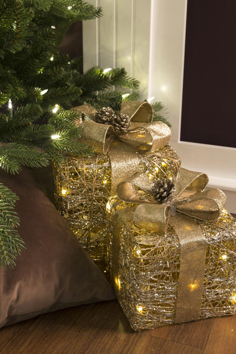 Pacchi Dono 3 Pezzi con 65 Led in Rattan Champagne