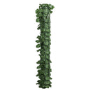 Rotolo di Siepe Finta per Balcone e Giardino 300x100 cm con Foglie di Edera in PE Verde Scuro      