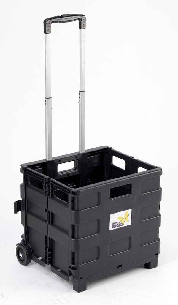 acquista Chariot de Transport Pliable Max 25 Kg en Aluminium et Plastique Ranieri Noir