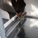 Pollaio per Galline 196x76x97 cm in Legno di Abete Bianco