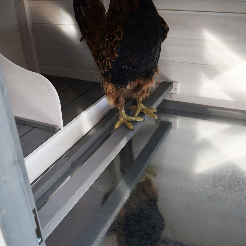 Pollaio per Galline 196x76x97 cm in Legno di Abete Bianco