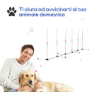 Set Addestramento Cani da Esterno con 6 Pali e Borsa di Trasporto Bianco