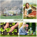 Mini Serra da Giardino con 2 Finestre 119x60x60 cm Copertura PVC Anti-UV Trasparente