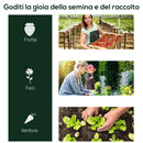 Serra da Giardino con Porte a Cerniera 250x100x80 cm in Acciaio e PVC Trasparente