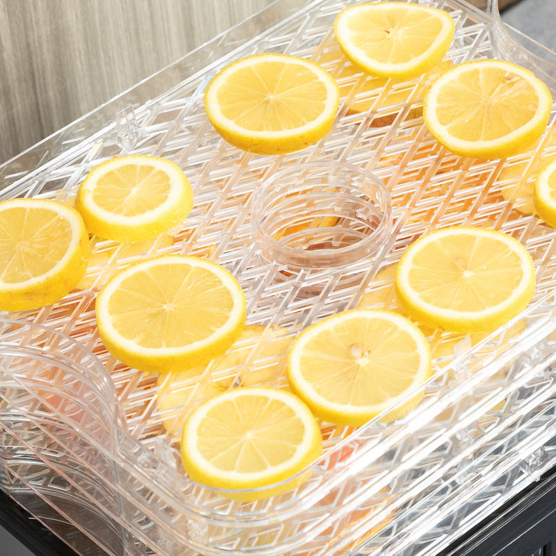 Essiccatore per Alimenti  32x25x29 cm 245W 5 Vassoi con Monito LCD