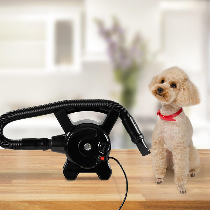 Soffiatore per Cani 2400W Velocità e Temperatura Regolabili Nero