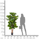 Ficus Lyrata Artificiale Altezza 180 cm Verde