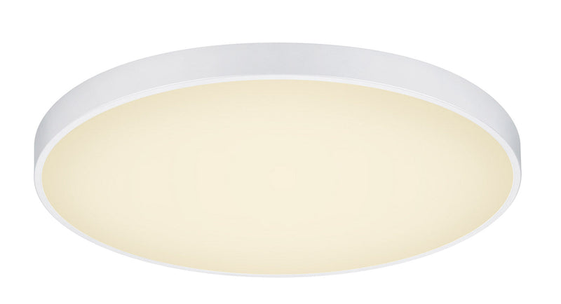 Plafoniera da Interno a LED in Metallo Bianco Opaco