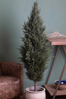 Pianta Artificiale Cipresso con Vaso H 167 cm