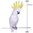 Pappagallo Cacatua H 54 cm