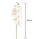 Set 8 Phalaenopsis Artificiali con 8 Fiori Altezza 65 cm Bianco