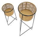 Porta Vasi Coppia Exy Ø37x76-27x51 cm in Ferro Oro e Nero