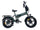 Bicicletta Elettrica GT3 PRO 250W con Freni Idraulici Display XXL e Chiave NFC Verde