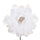 Set 12 Pics Pivoine Ø14 cm Blanc