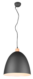 Lampada a Sospensione da Interno Attacco E27 in Metallo Nero Opaco