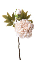 Set 6 Fiori Artificiali Peonia 65 cm 