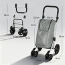 Carrello Spesa Pieghevole 44x58x100 cm Borsa da 46L con Ruote Scomparto Refrigerato in Alluminio Grigio      