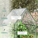 Mini Serra da Giardino con 2 Porte Avvolgibili 90x90x145 cm Copertura in PE  Trasparente