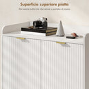 Scarpiera Salvaspazio per 24 Paia di Scarpe con 2 Ante 3 Ripiani Estraibili e Mensola Inferiore Bianco      