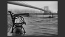 Fotomurale - A Foggy Day On The Brooklyn Bridge Carta Da Parato Erroi