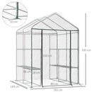 Serra da Giardino in PVC Trasparente 143x143x195 cm 