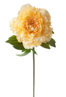 Set 6 Fiori Artificiali Peonia 65 cm 