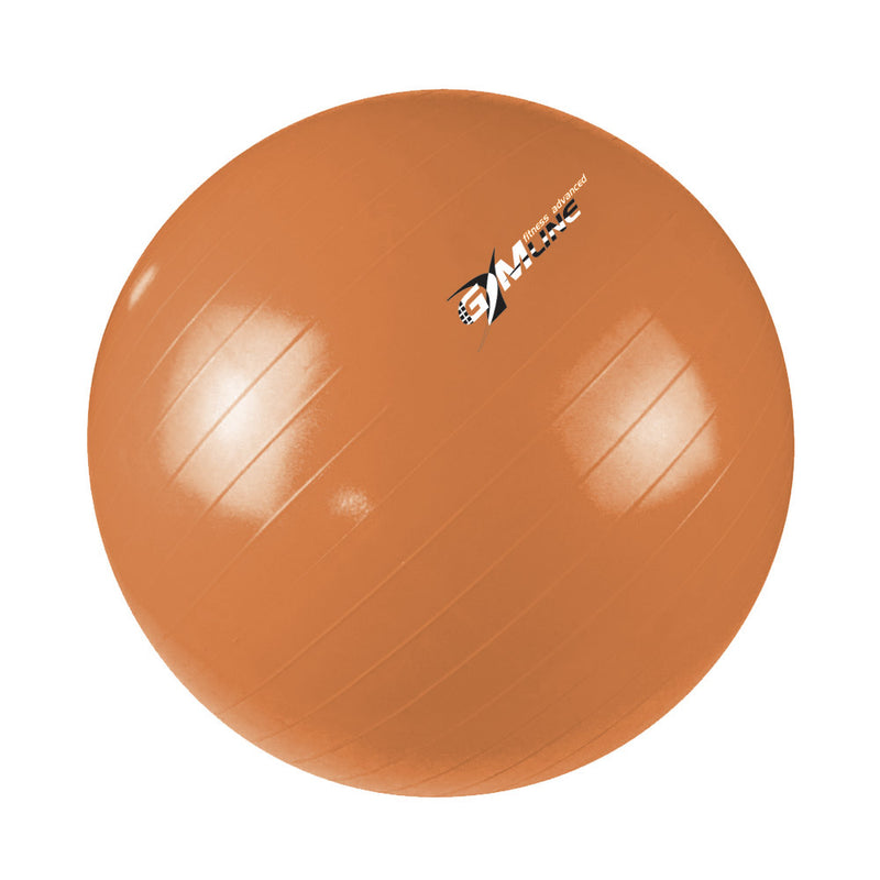 Palla Ginnica Ø65 cm per Palestra Fitness Arancione