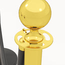 Colonnine Segnapercorso con Corda Vellutata Base Riempibile in Acciaio Inox Ø32x96 cm Nero e Oro 