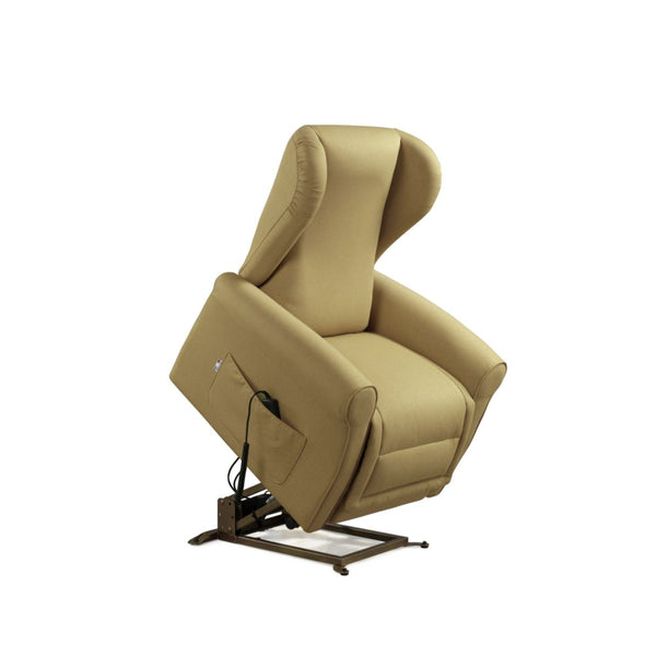 Fauteuil releveur électrique 2 moteurs 90x100x90 cm Canapé Microfibre Dispositif Médical 1 Camel online