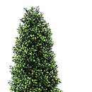 Foglie di Bosso Cono H 145 cm