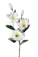 Set 12 Rami Artificiali Lisianthus con 5 Fiori 72 cm