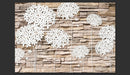 Fotomurale - Composizione Di Fiori Sul Muro Carta Da Parato Erroi