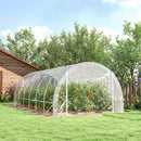 Serra a Tunnel 3x6x2 m con Porte Avvolgibili Telaio in Acciaio e Copertura in PE Anti-UV Trasparente      