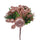 Set 24 Pics à Pomme Ø10 cm Champagne