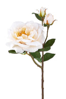 Set 4 Rose Artificiali Inglese Altezza 48 cm 