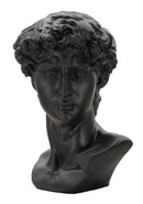 Scultura Testa Antica Nera 44x35,5x60 cm in Poliresina