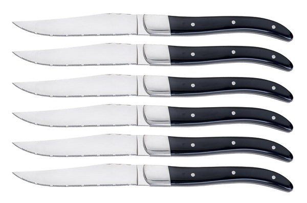 sconto Set de 6 Couteaux à Steak Lame Dentée Manche Acrylique Alì Noir