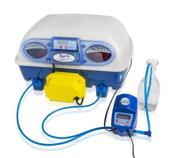online Incubateur d'œufs et humidificateur automatique Borotto Real 24 Expert