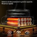 Mini Motosega Elettrica con Doppia Batteria Sega Portatile per Potatura con Accessori